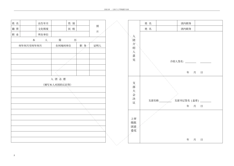 入团志愿书表格空白_第2页