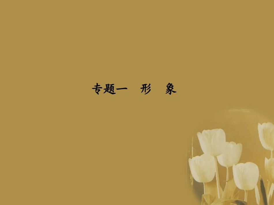 湖南省高考语文一轮总复习 第七章 文学类文本阅读课件_第3页