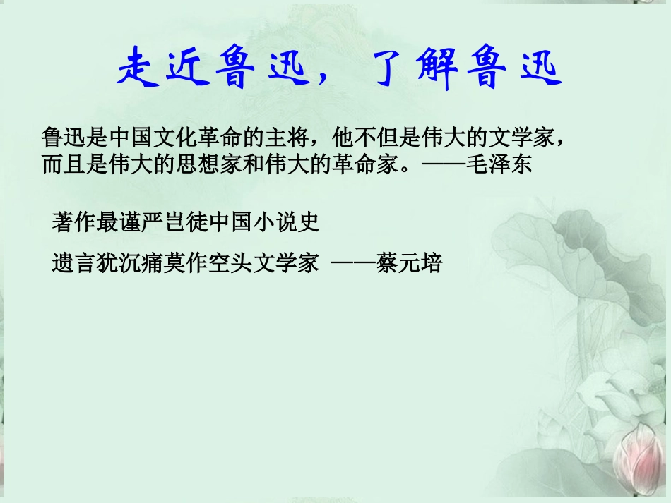 高二语文(风波)课件 新人教版 课件_第2页