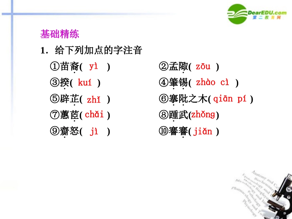 高中语文 第15课离骚课件 粤教版必修1 课件_第1页