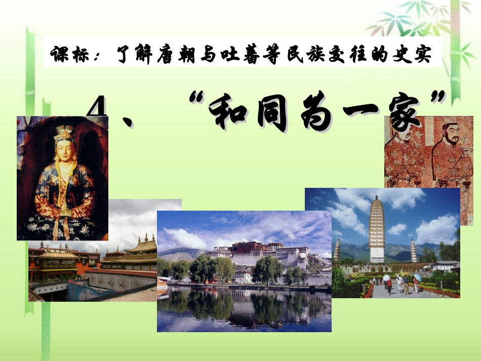 河南省郑州市第八十四中七年级历史下册 第一单元第4课(合同为一家)课件 新人教版 课件_第2页