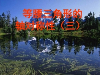 苏科版八年级数学上册等腰三角形的轴对称性课件3 课件