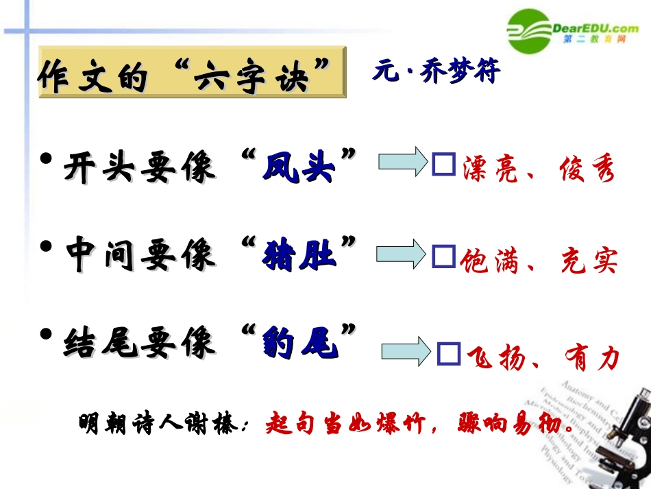 高考语文 凤冠明珠-让你的作文开头更精彩课件 新人教版 课件_第2页