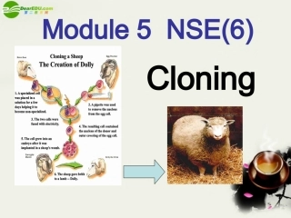高中英语 Module5(Cloning)Grammar课件1 外研版选修6 课件