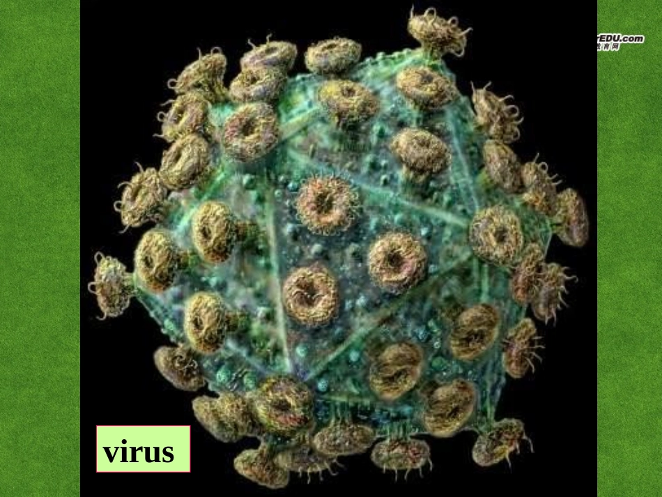 高中英语 Using language 3课件_第3页