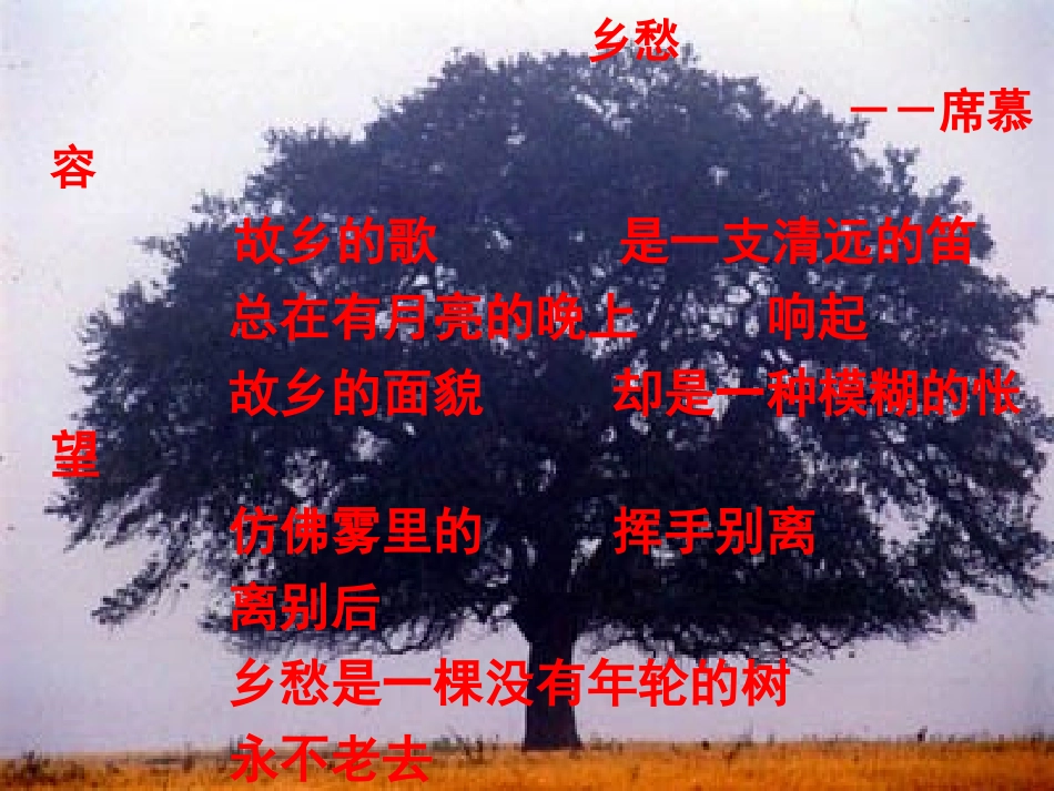 高中语文 第一单元之(故乡的榕树)课件 粤教版必修2 课件_第2页