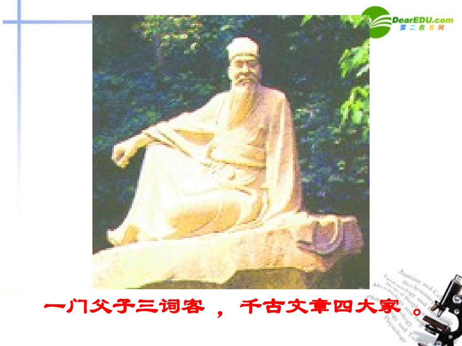 高中语文 念奴娇 赤壁怀古课件_第2页