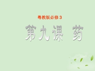 高中语文 第9课(药)课件 粤教版必修3 课件
