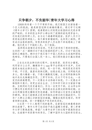 只争朝夕，不负韶华-青年大学习心得