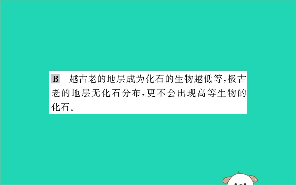 版八年级生物下册 第七单元 生物圈中生命的延续和发展 第三章 生命起源和生物进化 2 生物进化的历程训练课件 (新版)新人教版 课件_第3页