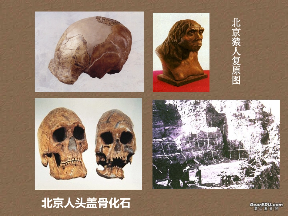 高二英语Unit5 usinglanguage课件 新课标 人教版 课件_第3页