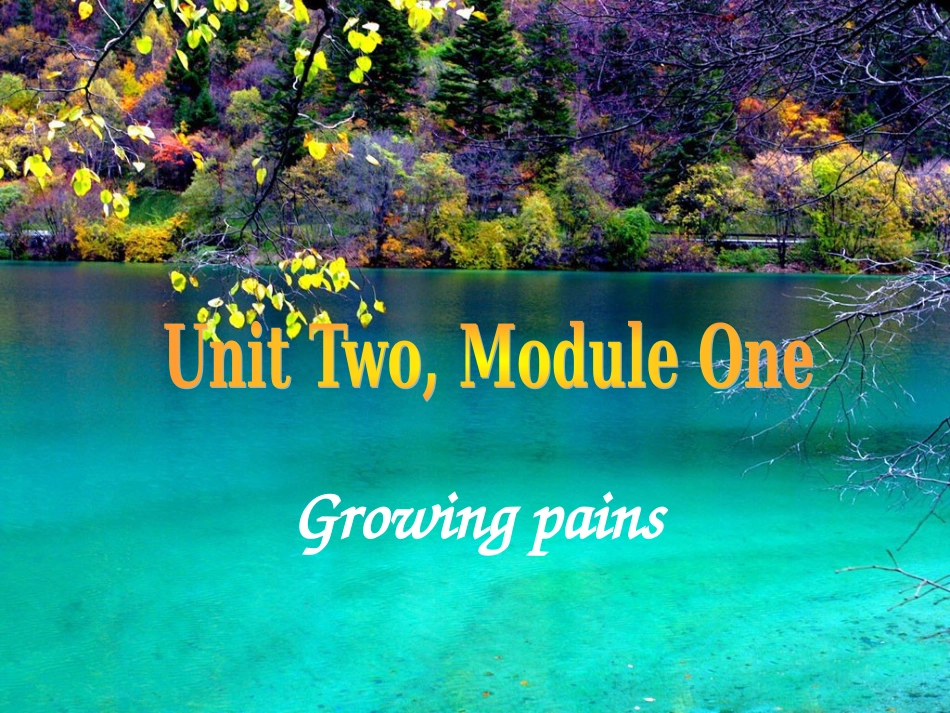 高中英语 Unit 2 Module 1课件 苏教版 课件_第1页