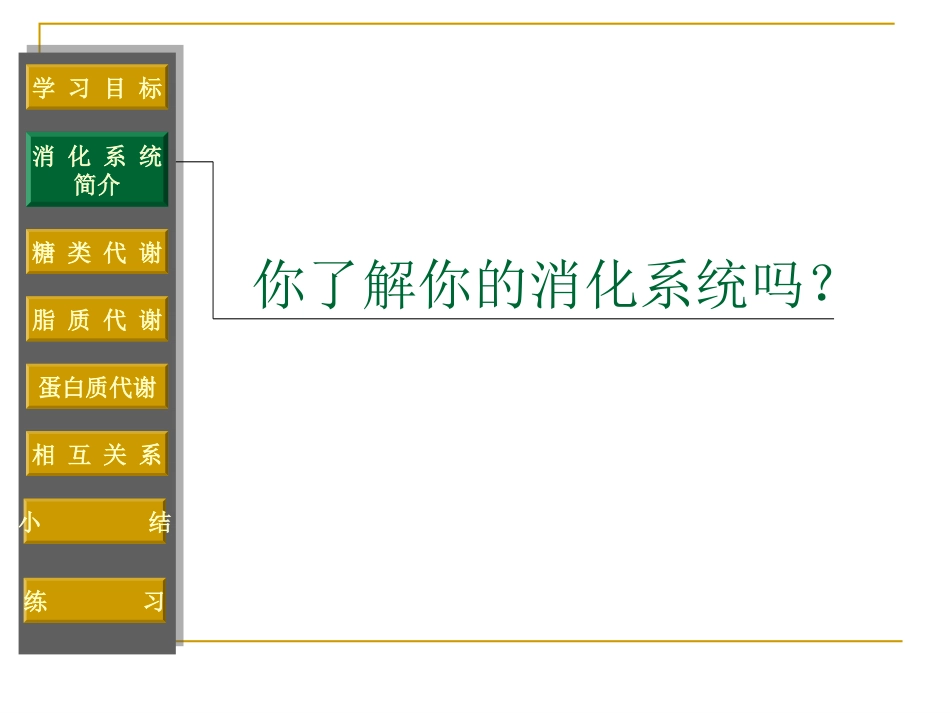 第六节 人和动物体内三大营养物质的代谢 消化系统 高二生物第三章 生物的新陈代谢课件二[整理四课时]新课标 高二生物第三章 生物的新陈代谢课件二[整理四课时]新课标_第2页
