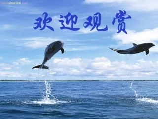 第六节 人和动物体内三大营养物质的代谢 消化系统 高二生物第三章 生物的新陈代谢课件二[整理四课时]新课标 高二生物第三章 生物的新陈代谢课件二[整理四课时]新课标