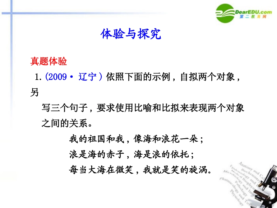 高考语文 语言运用强化仿用句式含正确运用常见的修辞方法课件 新人教版 课件_第2页