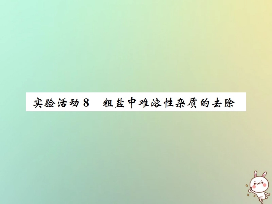 河南省九年级化学下册 第十一单元 盐 化肥 实验活动8 粗盐中难溶性杂质的去除课件 (新版)新人教版 课件_第1页