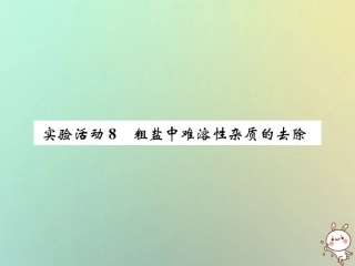 河南省九年级化学下册 第十一单元 盐 化肥 实验活动8 粗盐中难溶性杂质的去除课件 (新版)新人教版 课件