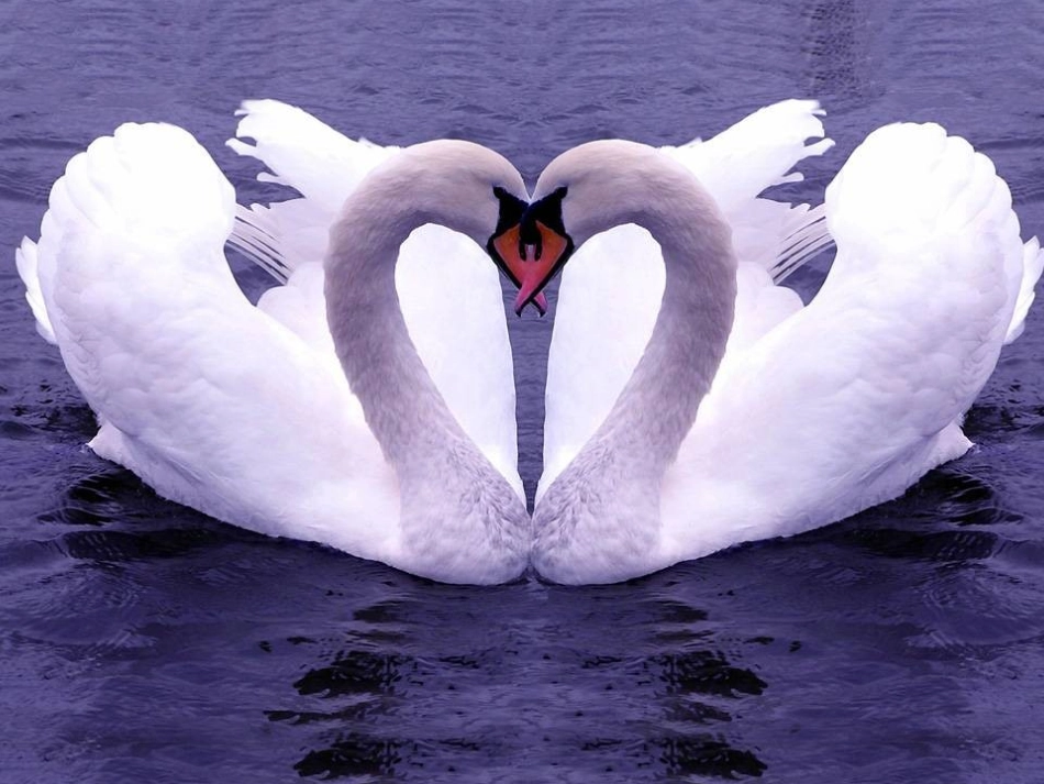 高中语文第四单元第12课作为生物的社会课件新人教版必修5 课件_第3页