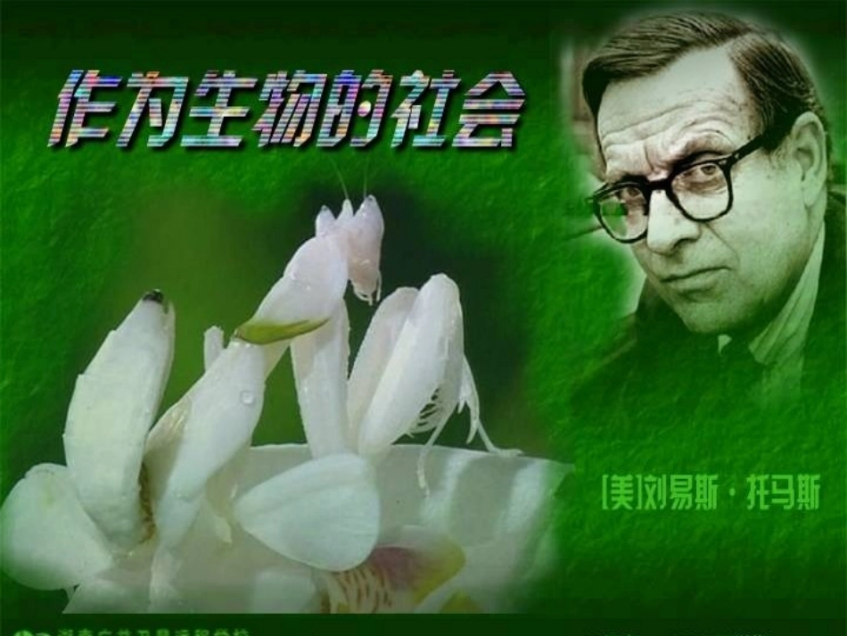 高中语文第四单元12作为生物的社会课件1新人教版必修5 课件_第1页