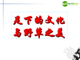 高中语文(足下的文化与野草之美)课件 苏教版必修5 课件