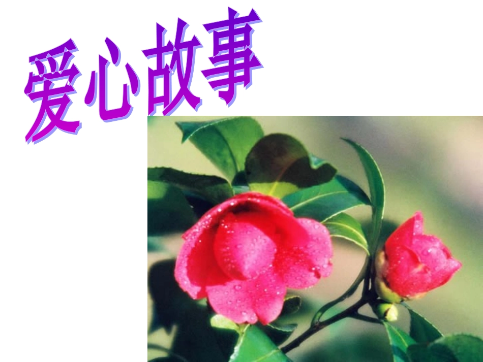 综合性学习：让世界充满爱2 八年级语文上册第二单元(综合性学习让世界充满爱)课件4套人教版 八年级语文上册第二单元(综合性学习让世界充满爱)课件4套人教版_第3页