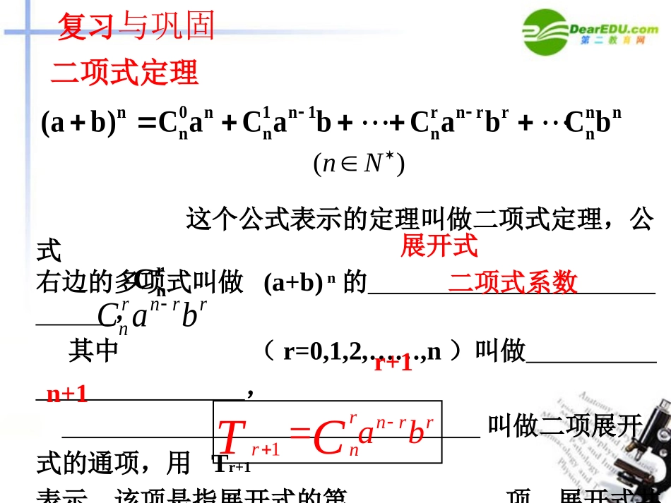 高二数学 二项式系数的性质课件 大纲人教版 课件_第2页