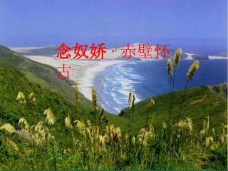 高中语文念奴娇 赤壁怀古课件2 苏教版 必修2 课件