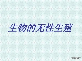 生物的无性生殖八年级生物课件示例 课件