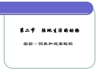 湖南地区八年级生物陆地生活的动物(蚯蚓)课件 新人教版 课件