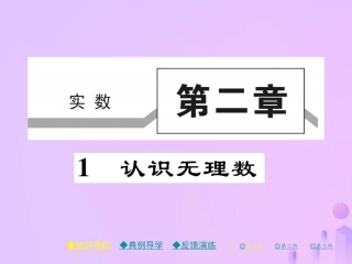 秋八年级数学上册 第二章 实数 1 认识无理数作业课件 (新版)北师大版 课件