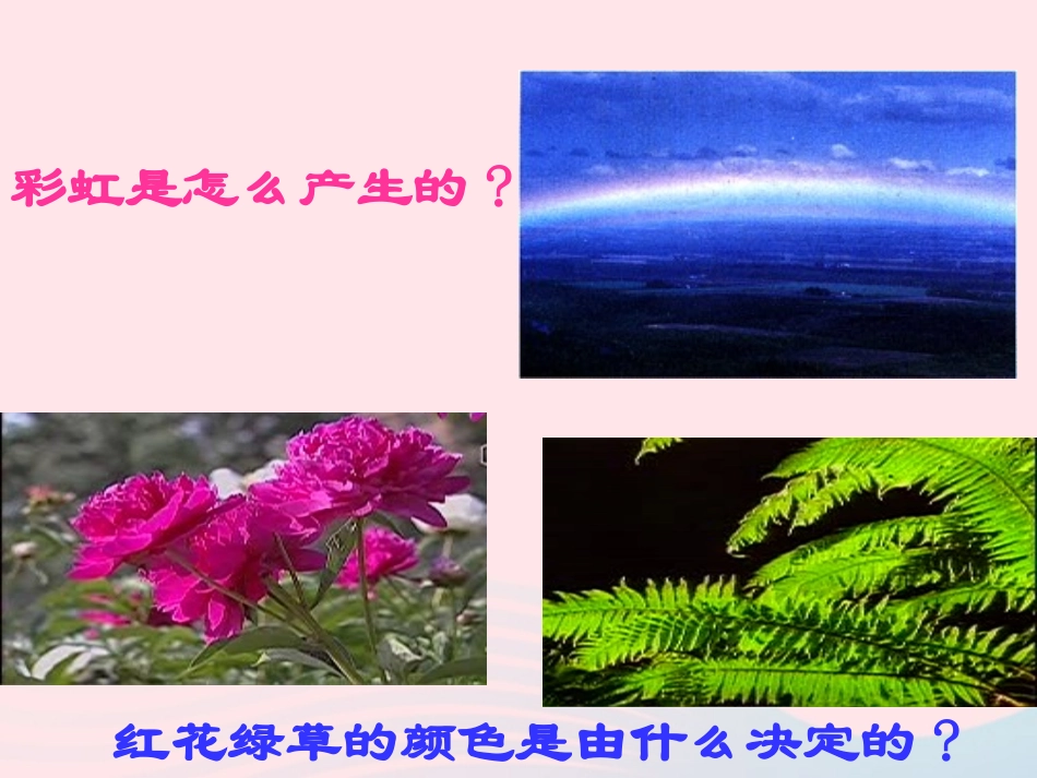 第5节 物体的颜色课件1 八年级物理上册 5.5物体的颜色复习课件+素材 (新版)北师大版 八年级物理上册 5.5物体的颜色复习课件+素材 (新版)北师大版-2_第2页