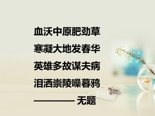 高中语文 纪念刘和珍君课件3课件 新人教版必修1 课件