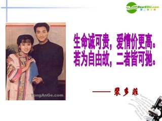高中语文 417(与妻书)课件2 粤教版必修2 课件