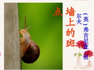 高中语文(墙上的斑点)课件1 新人教版选修 课件