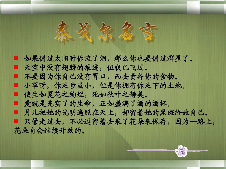 高中语文(素芭)课件1 新人教版选修 课件_第2页