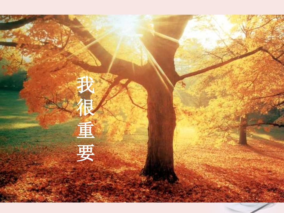 高中语文 第1课(我很重要)课件 粤教版必修1 课件_第1页