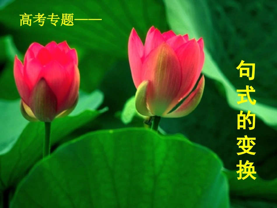 高考语文复习复习课件_第2页