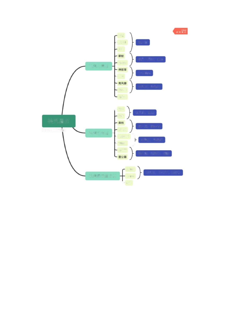 中药学大纲思维导图_第3页
