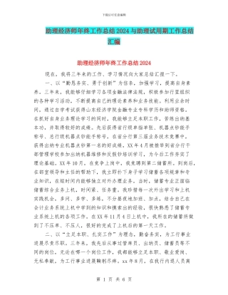 助理经济师年终工作总结2024与助理试用期工作总结汇编