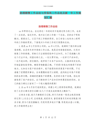 助理销售工作总结与劳保局工作总结及新一年工作规划汇编