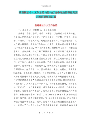 助理镇长个人工作总结与努力打造鲁南经济带更具活力的发展板块汇编