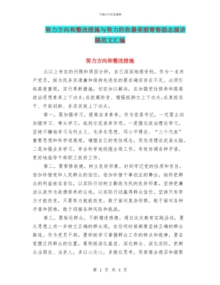 努力方向和整改措施与努力的你最美丽青春励志演讲稿范文汇编