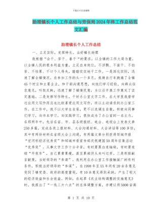 助理镇长个人工作总结与劳保局2024年终工作总结范文汇编