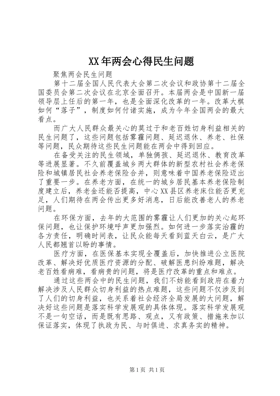 XX年两会心得民生问题_第1页