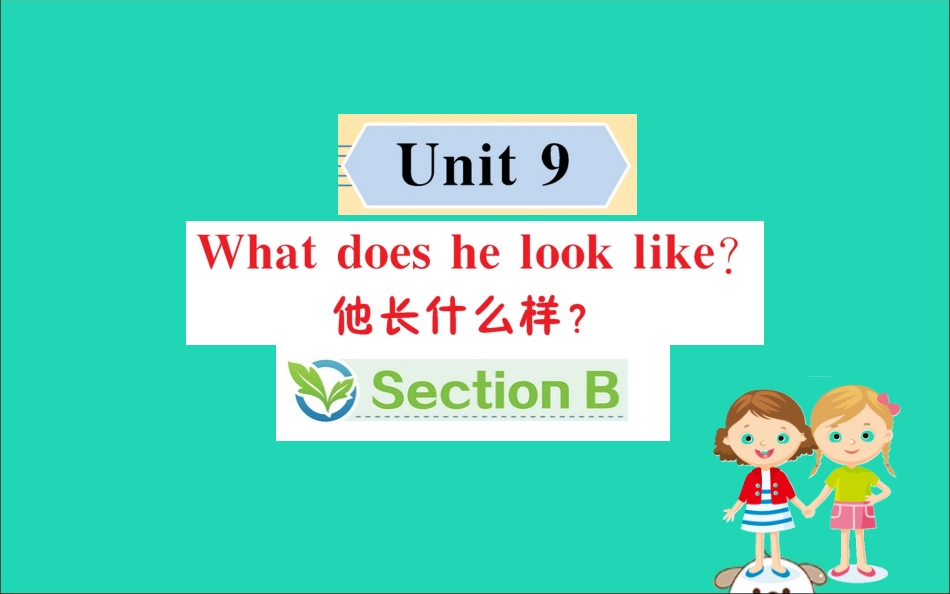 版七年级英语下册 Unit 9 What does he look like Section B训练课件 (新版)人教新目标版 课件_第1页