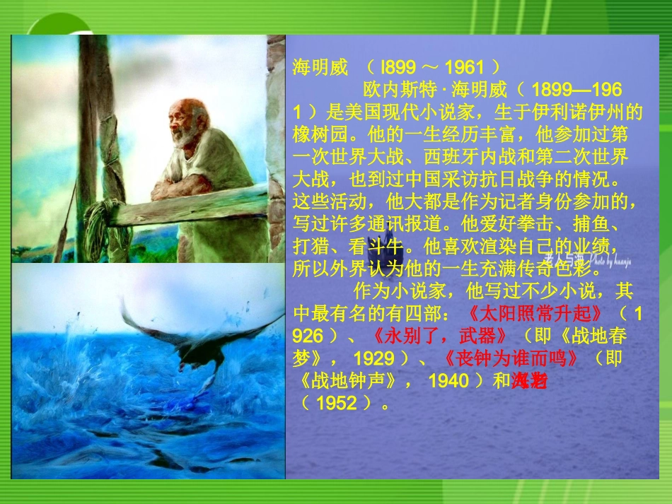 高中语文：老人与海课件人教版必修3 课件_第3页