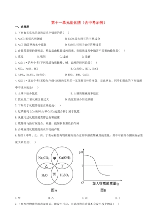 版中考化学 第十一单元盐化肥精练精析(含中考示例) 新人教版 课件