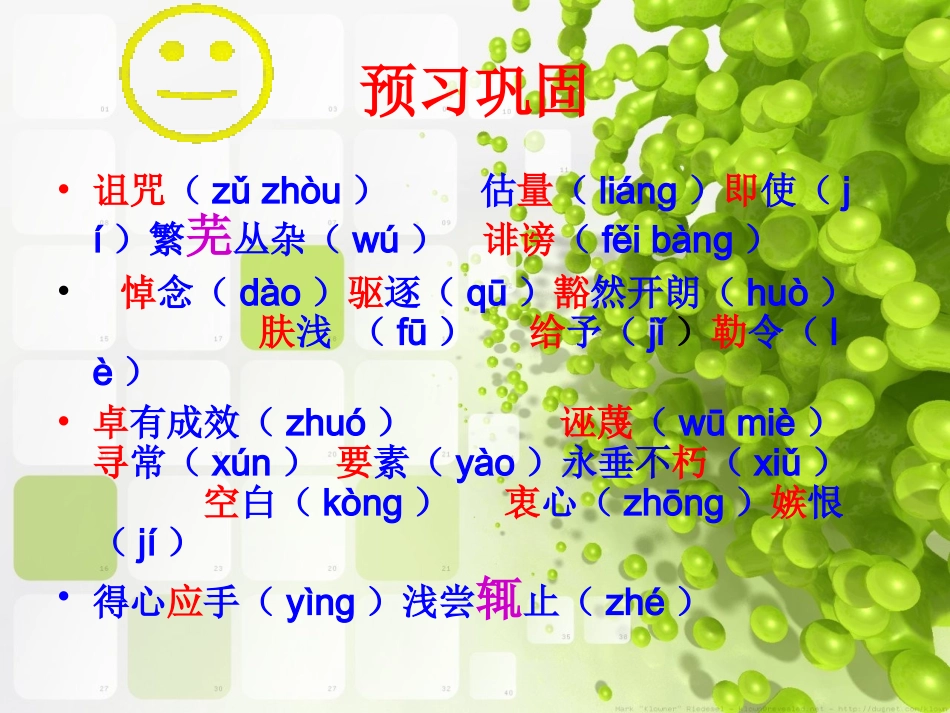 高中语文 在马克思墓前的讲话教学课件 新人教版必修2 课件_第3页