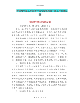 劳保局年度工作改革计划与劳保局老干部工作打算汇编