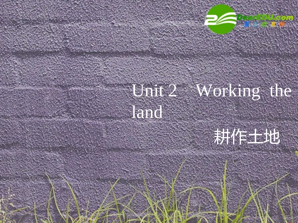 高三英语一轮复习课件 unit2 Working  the land 新人教版必修4 课件_第1页